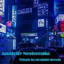 Anatoliy Nesterenko - Winds in Straight Streets