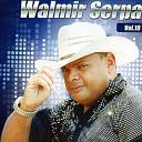 Walmir Serpa - Ela Busca um Carinho