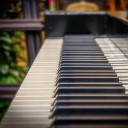 Gym Piano Tranquil Music Sound of Nature Piano Bar Music… - Calming Piano Romantic Piano Music