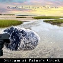 Christopher Seufert - Stream at Paine s Creek Pt 1