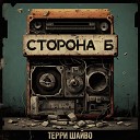 Терри Шайво - Радио