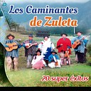 Los Caminantes De Zuleta - Sanjuanito de Zuleta