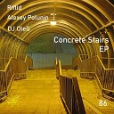 Riflid Alexey Polunin DJ OleG - Concrete Stairs