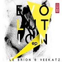 Le Brion Veekatz - Evolution James Hopkins Remix