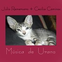 Julio Remersaro - Un Vals instrumental