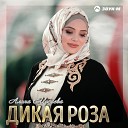 Алина Мусиева - Дикая роза