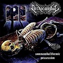 Necrocannibal - Revel in Flesh Timeless Go Away