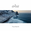 A Ha - True North