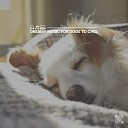 Calming Music for Dogs - A Dog s Escape Sound Track