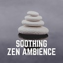 Easy Ambient Mind Body Soul Healing Meditation… - Deep Healing Pt 12
