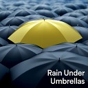 Rain Hard - A Stream of Showers