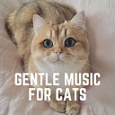 Music for Cats Peace - Ultimate Zen Music for Your Cat Pt 3