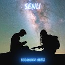 Senli - Вспышки света