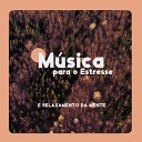 Natureza Musica Bem Estar Academia - P ssaros Sons da Floresta