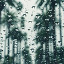 Nature Records - Rain Sounds for Sleeping