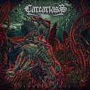 CARCARIASS - Letter from the Trenches