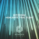 Bitzfork - Final Flight Original Mix