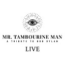 Mr Tambourine Man - Knockin on Heaven s Door Live