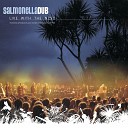 Salmonella Dub - Gifts Live with the Nzso Vinyl Boxset 2018…