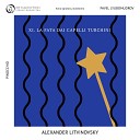 Metamorphose String Orchestra Pavel Lyubomudrov Anna… - Pinocchio XI La Fata dai Capelli Turchini