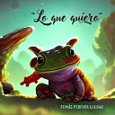 Tom s Pereyra Lucena - Lo Que Quiero