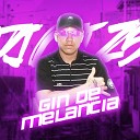 DJ CRT ZS MC MT - Gin de Mel ncia