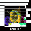 Christopher Wookins - Jungle Trip