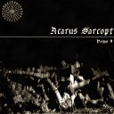 Acarus Sarcopt - Sur Le Ponton De La Creation