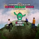 CHARIZMATIC Elle Vee - Never Really Gone Nico Brey Remix
