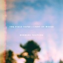 The Field Tapes Light of Woods - Evening Song