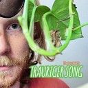 Timon Furchert - Trauriger SONG