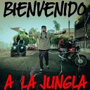 The Bit - Bienvenido a la Jungla