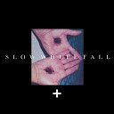 Slow White Fall - Narcissus