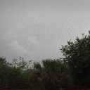 Tony Bomboni - Overcast Weather Light Rain for ASMR Pt 6