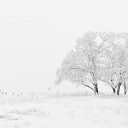 Piano Music Reflection Xmas Music Christmas… - Magic of Snow