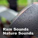 Rain Sounds Nature Sounds - Light Rainbows Original Mix