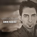 dj zazu - Amin Habibi Ashegh Nasho Ey Del