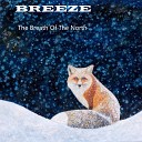 BREEZE - Wheels of Time