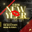 Dance Party DJ - EDM