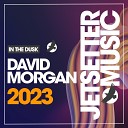 David Morgan - In The Dusk