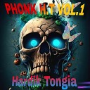Hardik Tongia - Professional