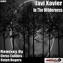 Javi Xavier - In the Wilderness Original Mix