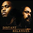 Nas Damian Jr Gong Marley feat Dennis Brown - Land Of Promise