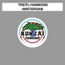 Treitl Hammond - Amsterdam Original Mix