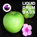 Dreazz - Liquid Drum Bass Sessions 2020 Vol 38