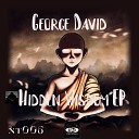 George David - Hidden Wisdom Original Mix