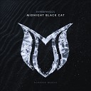 HyperPhysics - Midnight Black Cat Extended Mix