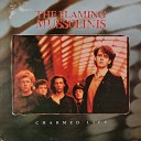 The Flaming Mussolinis - Two Mountains High