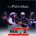 Ciudad Del Maiz - Pajarillo