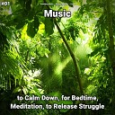 Soothing Music Relaxing Music Yoga - Soft Music Pt 10